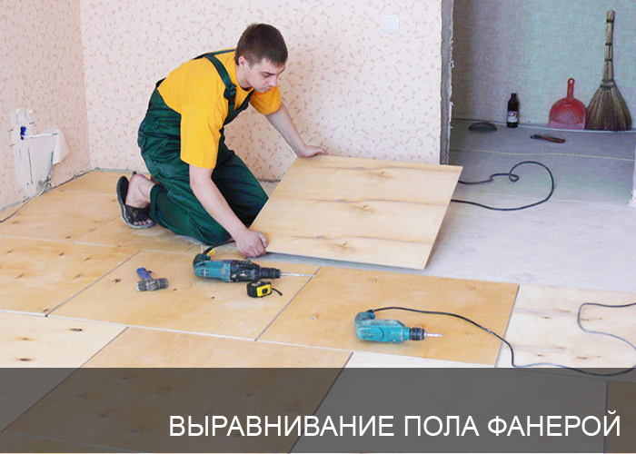 ������������ ���� �������